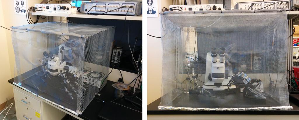 D.I.Y. Sistine Chapel Security: How To Build Your Own Faraday Cage